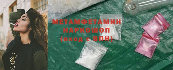 крисы Каменка