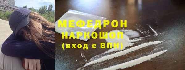 крисы Каменка