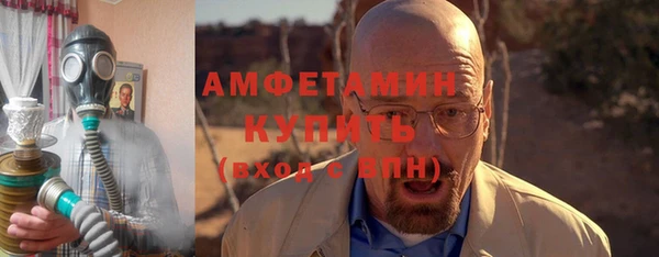 крисы Каменка