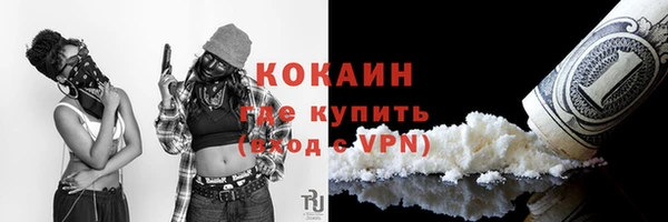 крисы Каменка