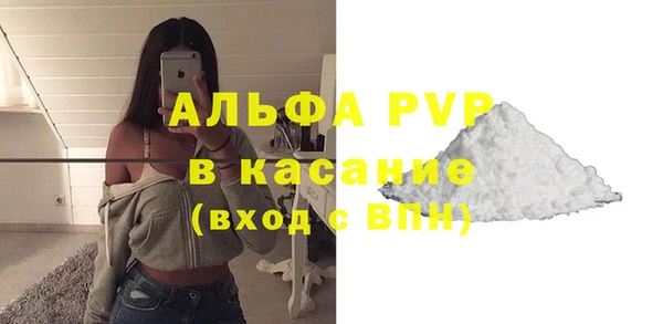 гашик Сатка