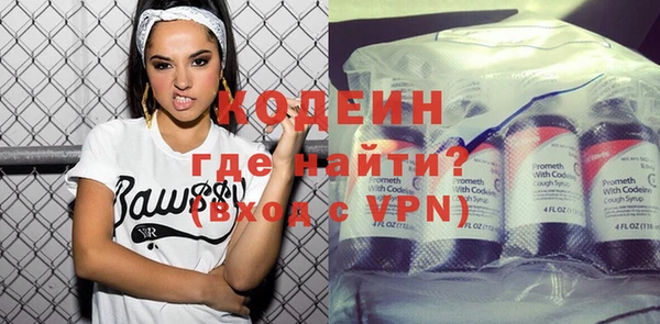 дживик Инта