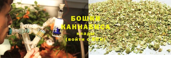 соль ск Каменногорск