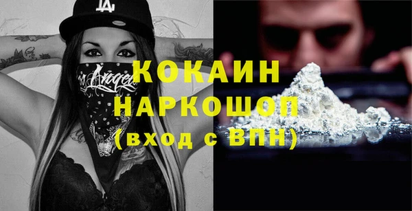 молекула духа Лысьва