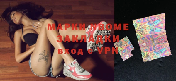 крисы Каменка