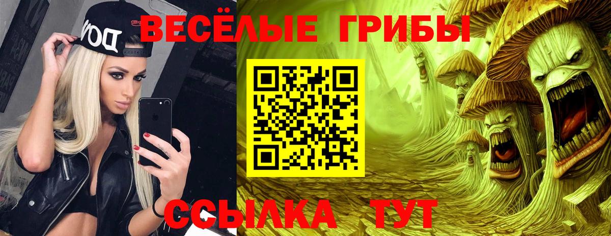 Псилоцибиновые грибы MAGIC MUSHROOMS  Вход с VPN  Углич 